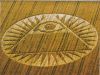 crop circle_24.jpg