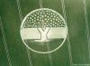 crop circle_31.jpg