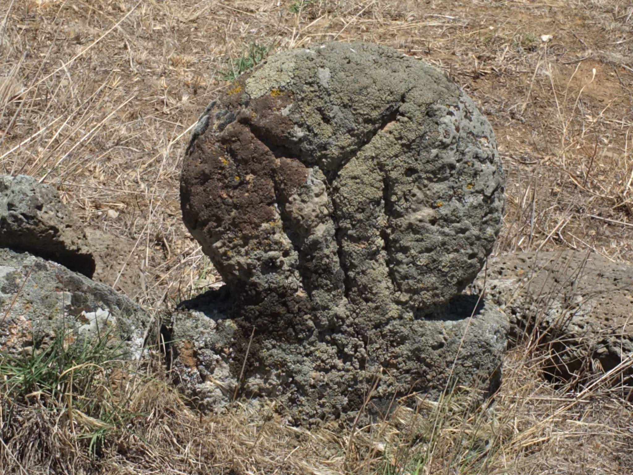 ���������,�� �� ������ �������� ���������