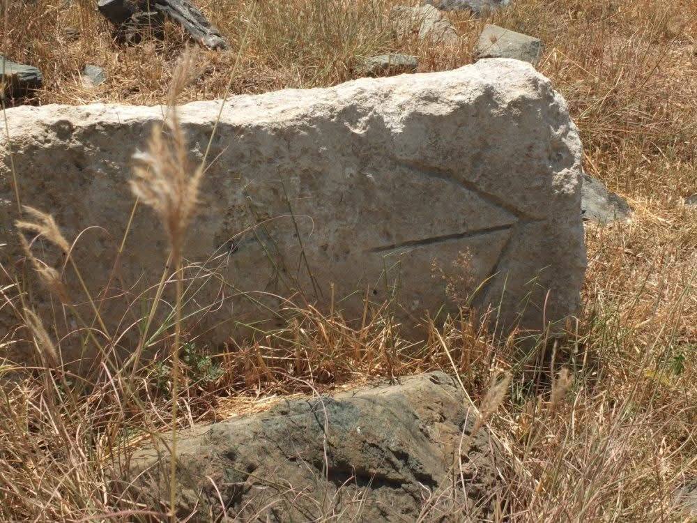 ���������,�� �� ������ �������� ���������