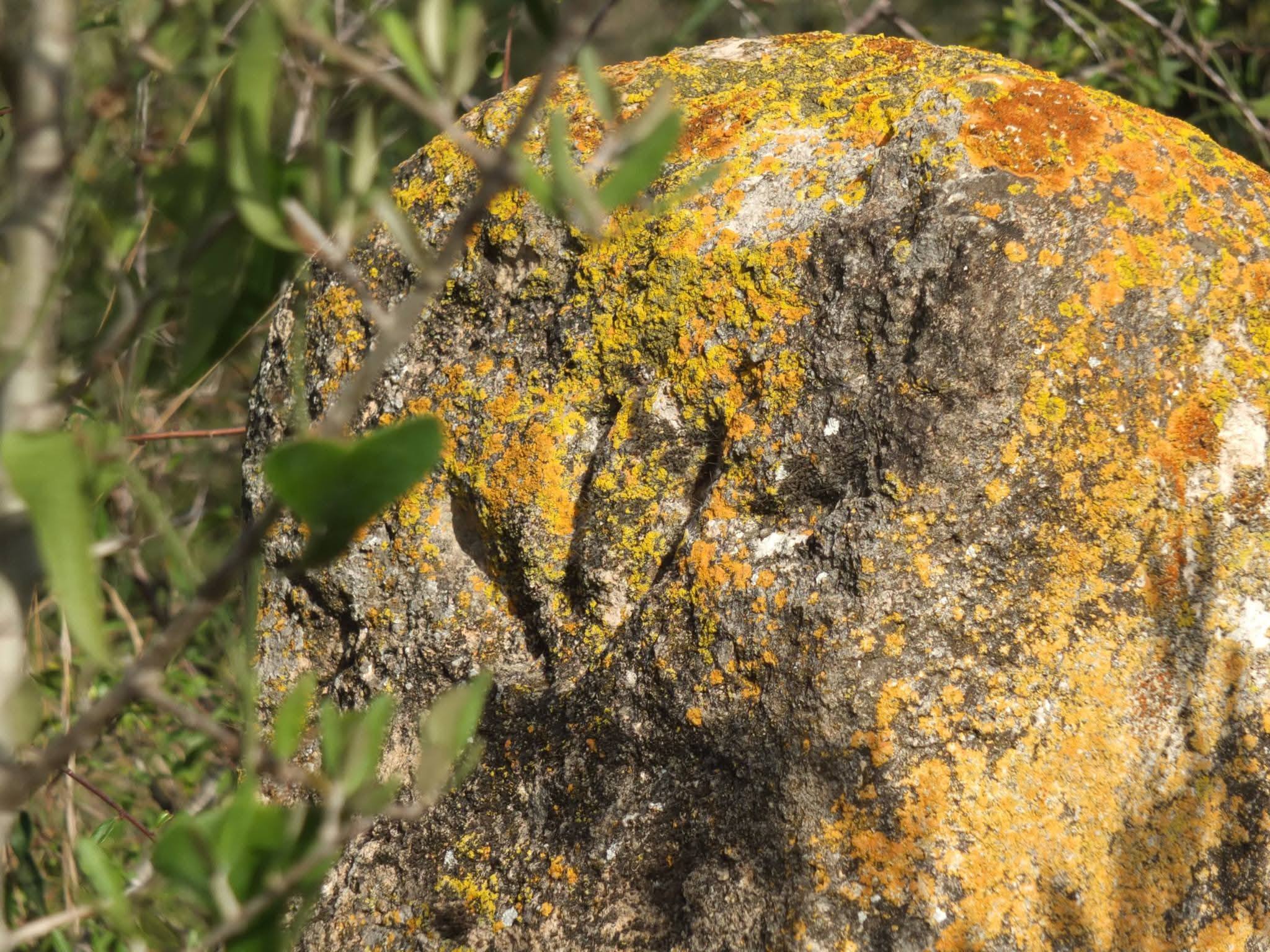 ���������,�� �� ������ �������� ���������