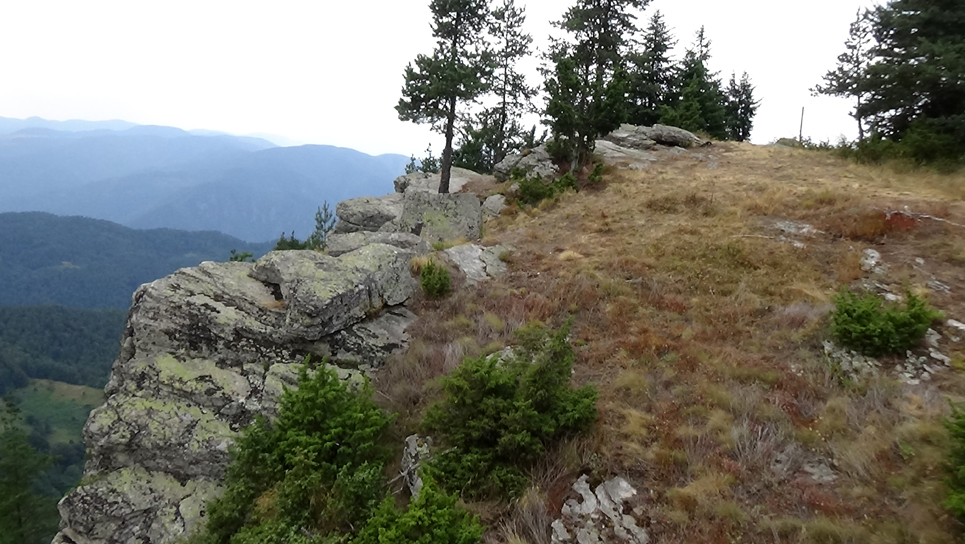 ���������,�� �� ������ �������� ���������