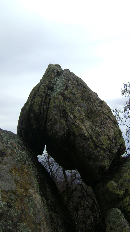 DSC04968-1.jpg