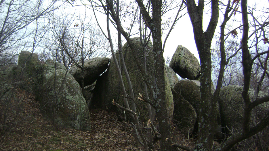 DSC04974-1.jpg