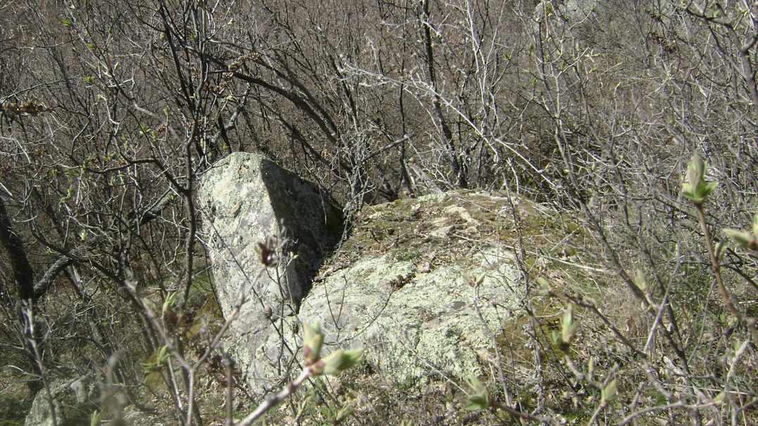 DSC05282-1.jpg