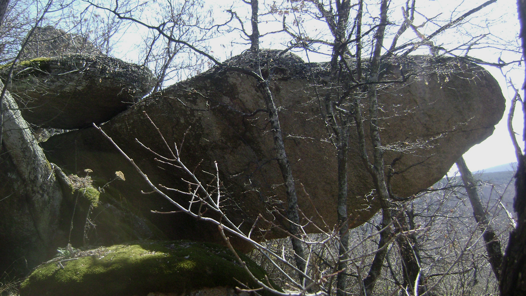 DSC05284-1.jpg