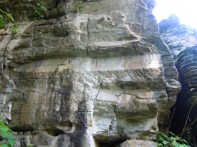 ���������,�� �� ������ �������� ���������