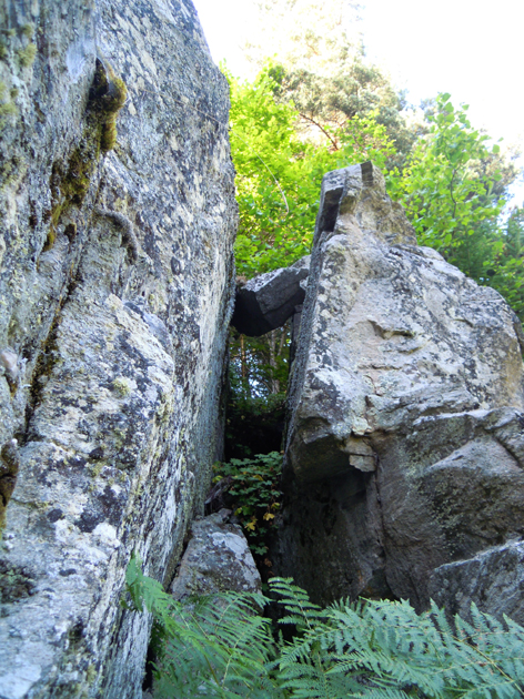 ���������,�� �� ������ �������� ���������