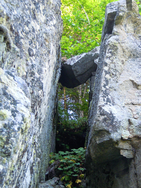 ���������,�� �� ������ �������� ���������