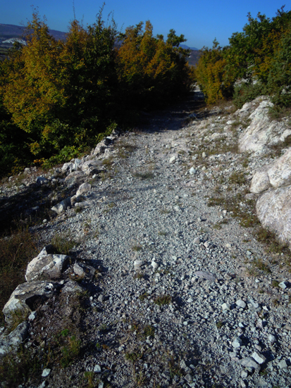 ���������,�� �� ������ �������� ���������