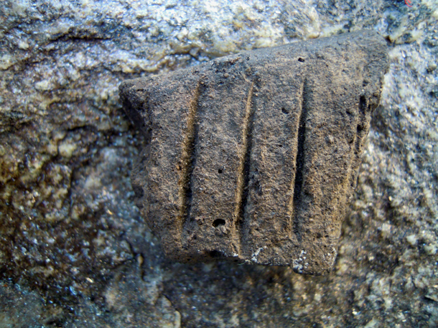 ���������,�� �� ������ �������� ���������