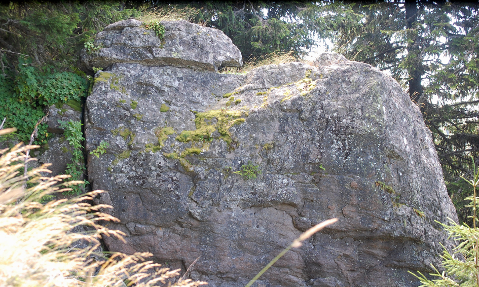 ���������,�� �� ������ �������� ���������