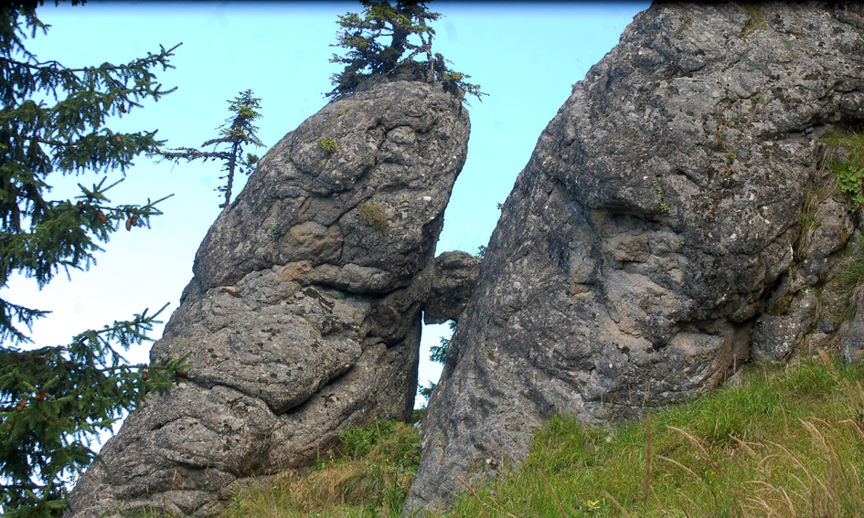 ���������,�� �� ������ �������� ���������