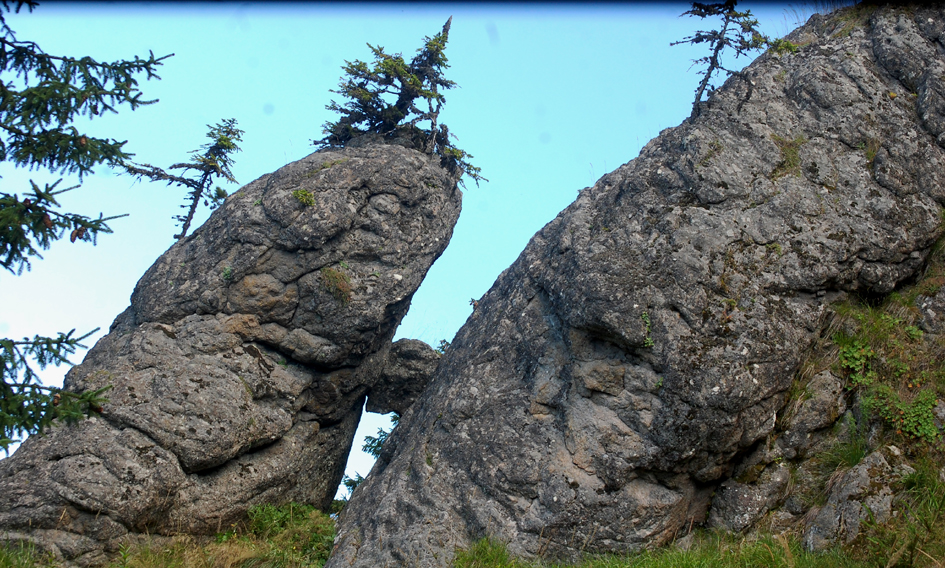 ���������,�� �� ������ �������� ���������