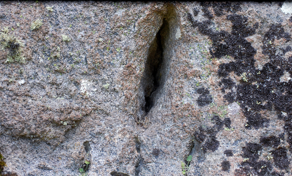 ���������,�� �� ������ �������� ���������