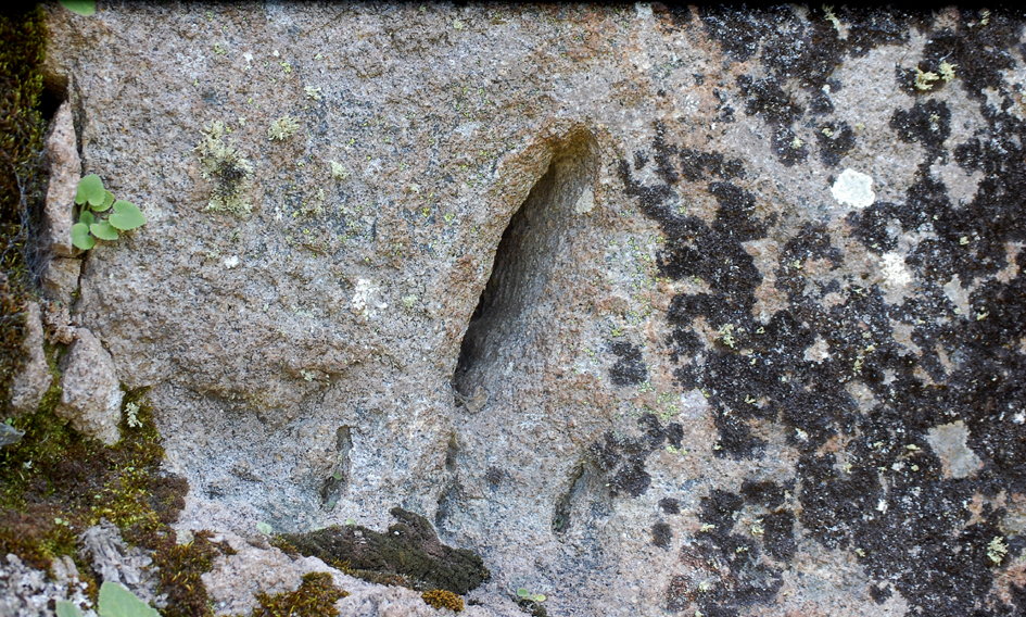 ���������,�� �� ������ �������� ���������