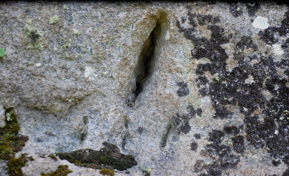 ���������,�� �� ������ �������� ���������