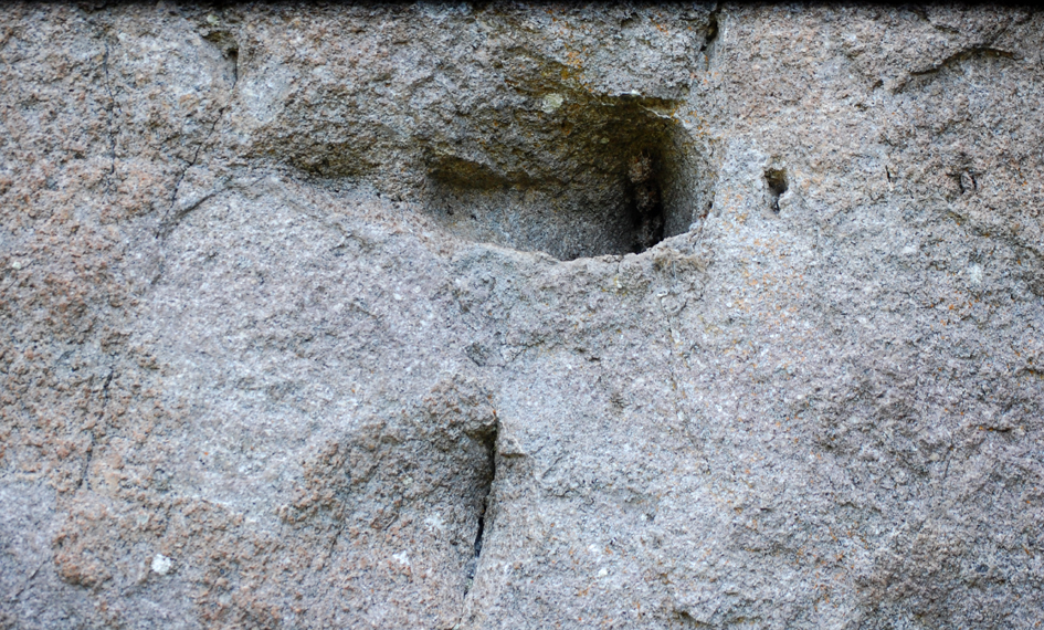 ���������,�� �� ������ �������� ���������