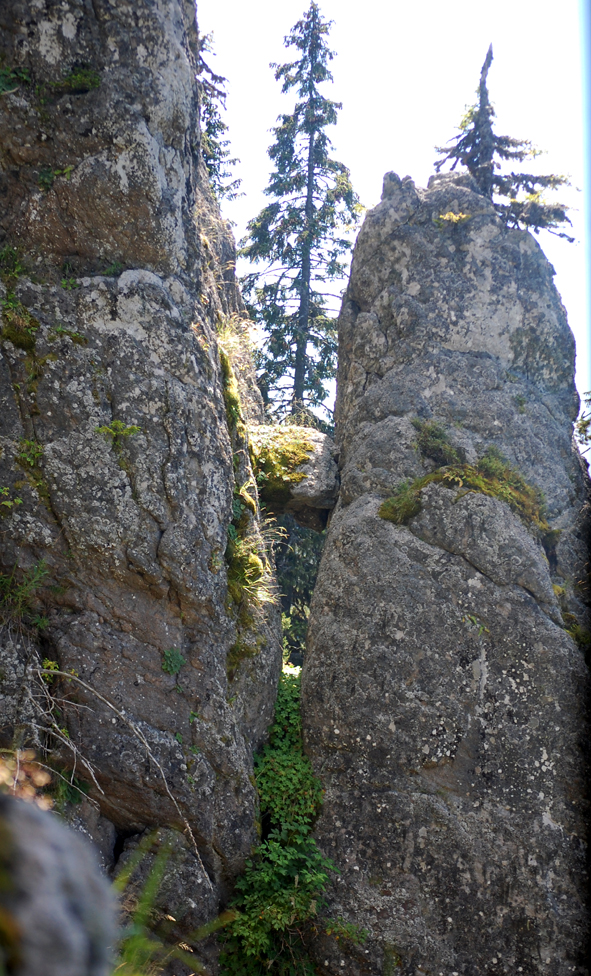 ���������,�� �� ������ �������� ���������