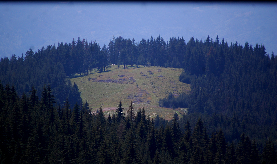 ���������,�� �� ������ �������� ���������