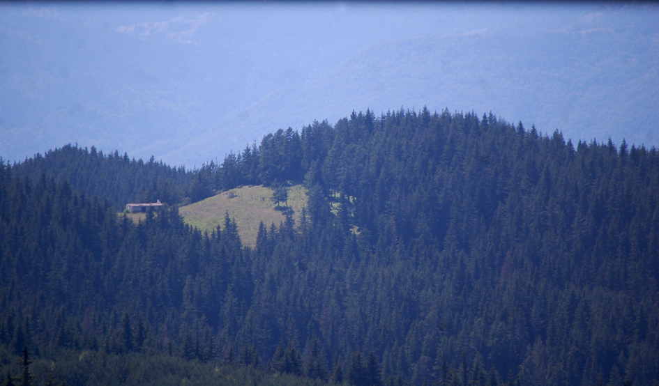 ���������,�� �� ������ �������� ���������