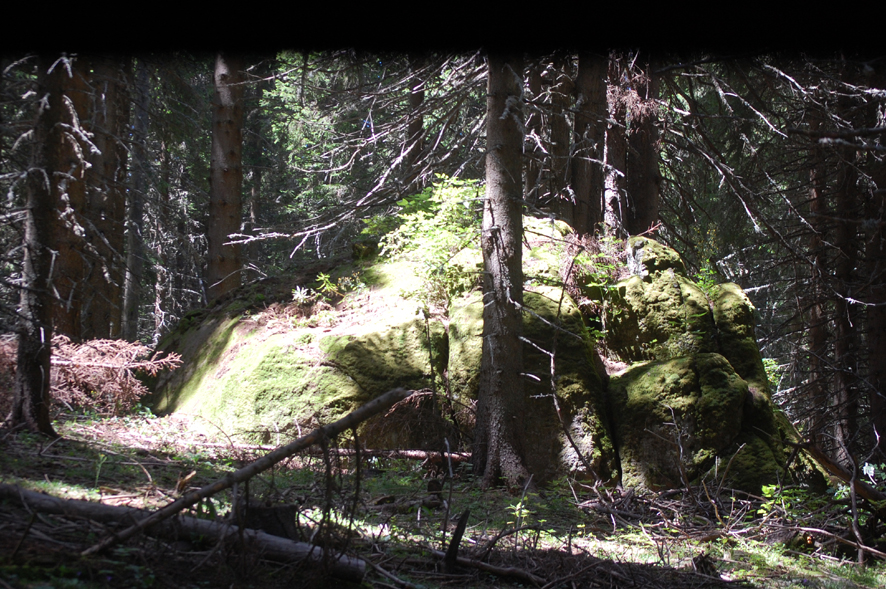 ���������,�� �� ������ �������� ���������