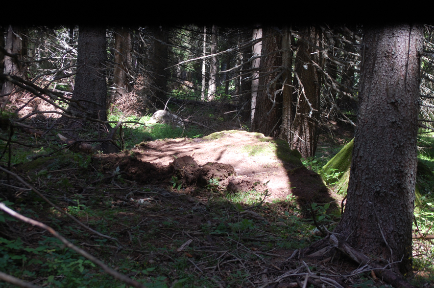 ���������,�� �� ������ �������� ���������