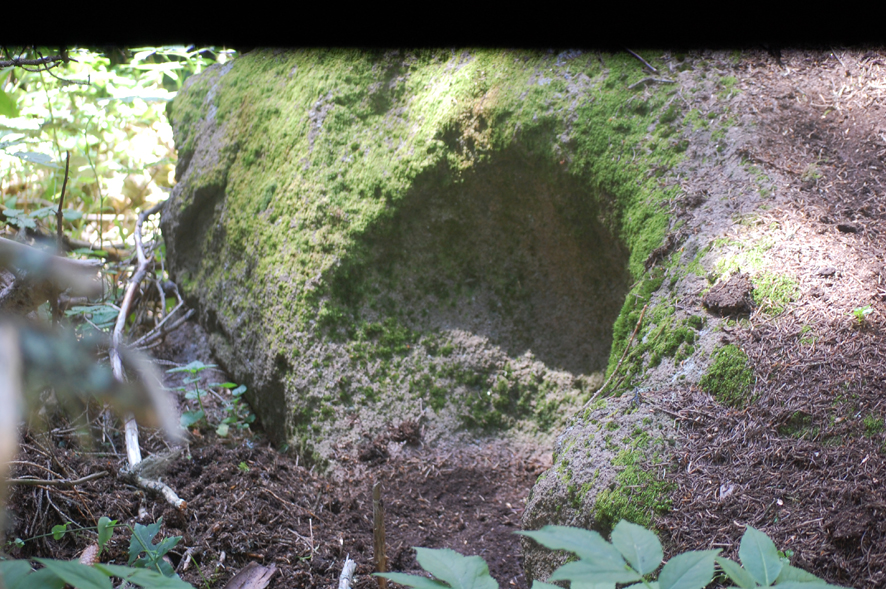 ���������,�� �� ������ �������� ���������