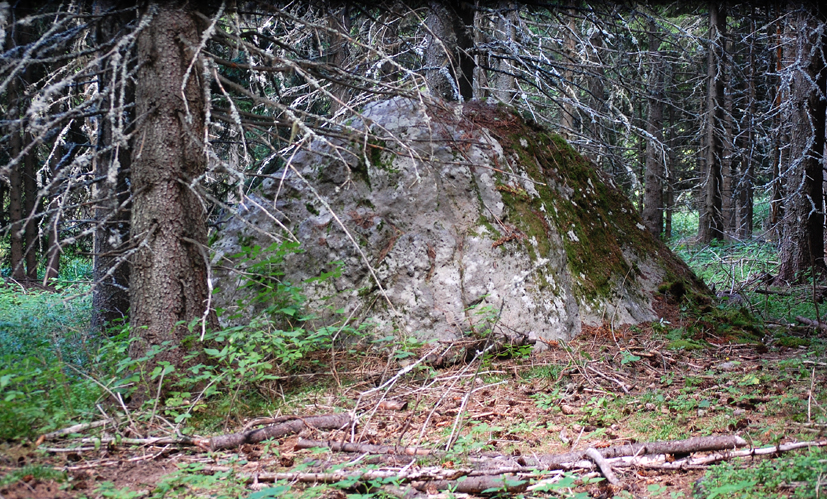 ���������,�� �� ������ �������� ���������