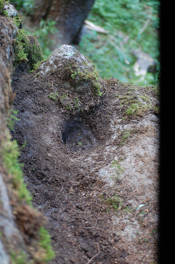 ���������,�� �� ������ �������� ���������