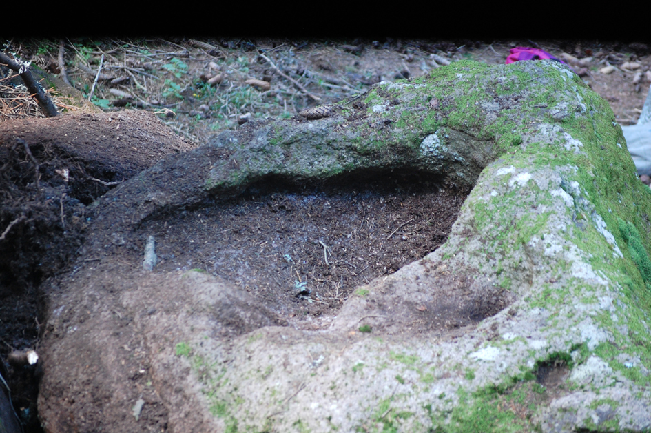 ���������,�� �� ������ �������� ���������