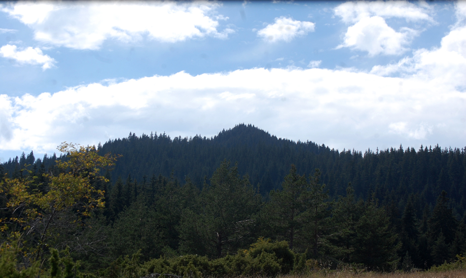 ���������,�� �� ������ �������� ���������