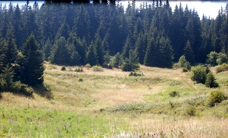 ���������,�� �� ������ �������� ���������