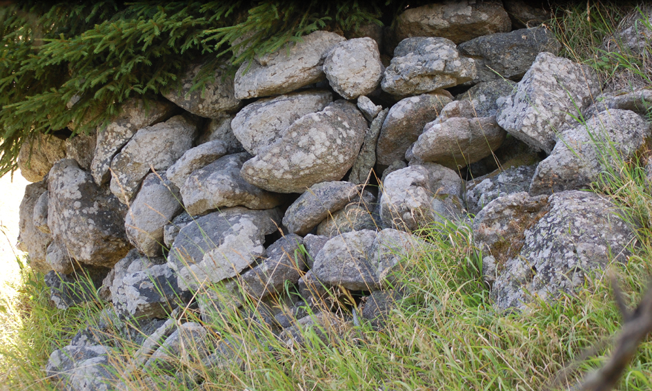 ���������,�� �� ������ �������� ���������