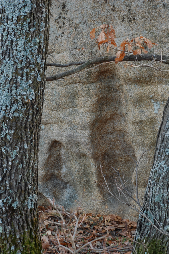 ���������,�� �� ������ �������� ���������