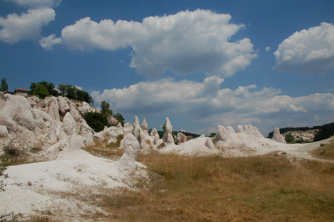 ���������,�� �� ������ �������� ���������