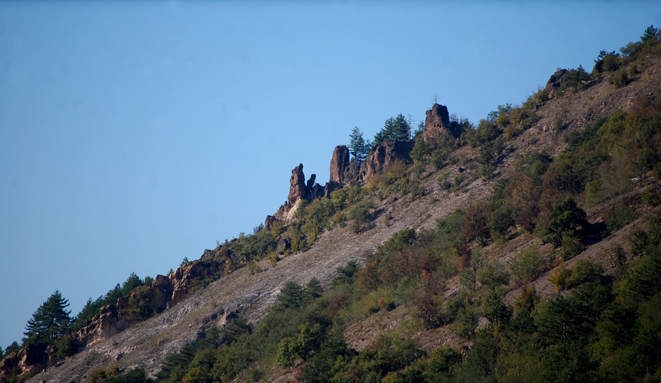 ���������,�� �� ������ �������� ���������