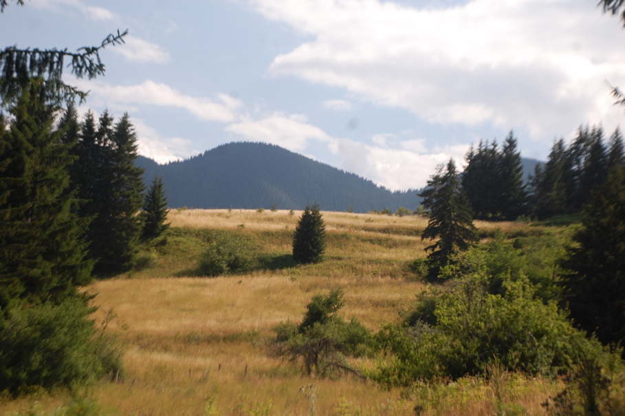 ���������,�� �� ������ �������� ���������