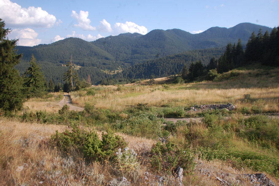 ���������,�� �� ������ �������� ���������