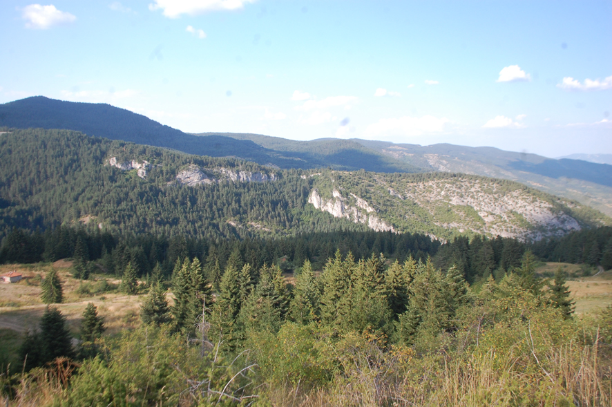 DSC_2305-1.jpg