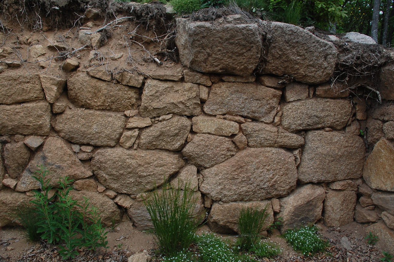 ���������,�� �� ������ �������� ���������