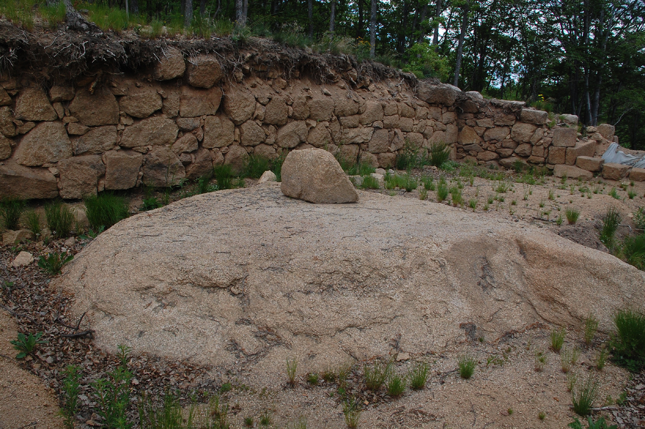 ���������,�� �� ������ �������� ���������