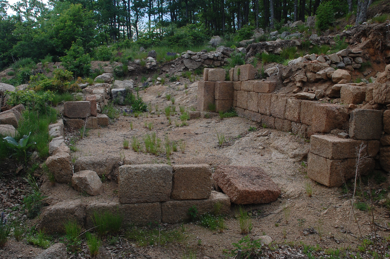 ���������,�� �� ������ �������� ���������