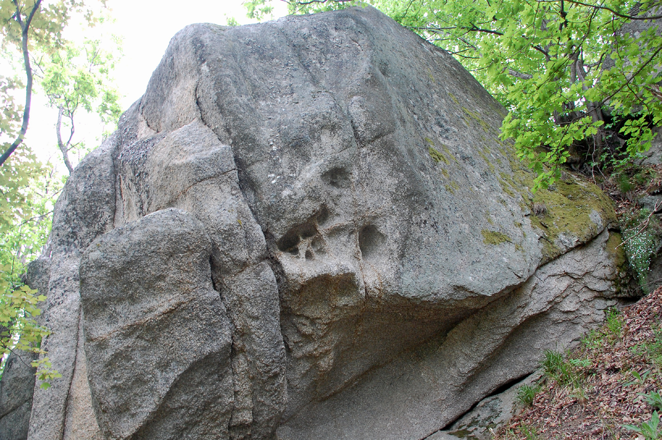 ���������,�� �� ������ �������� ���������