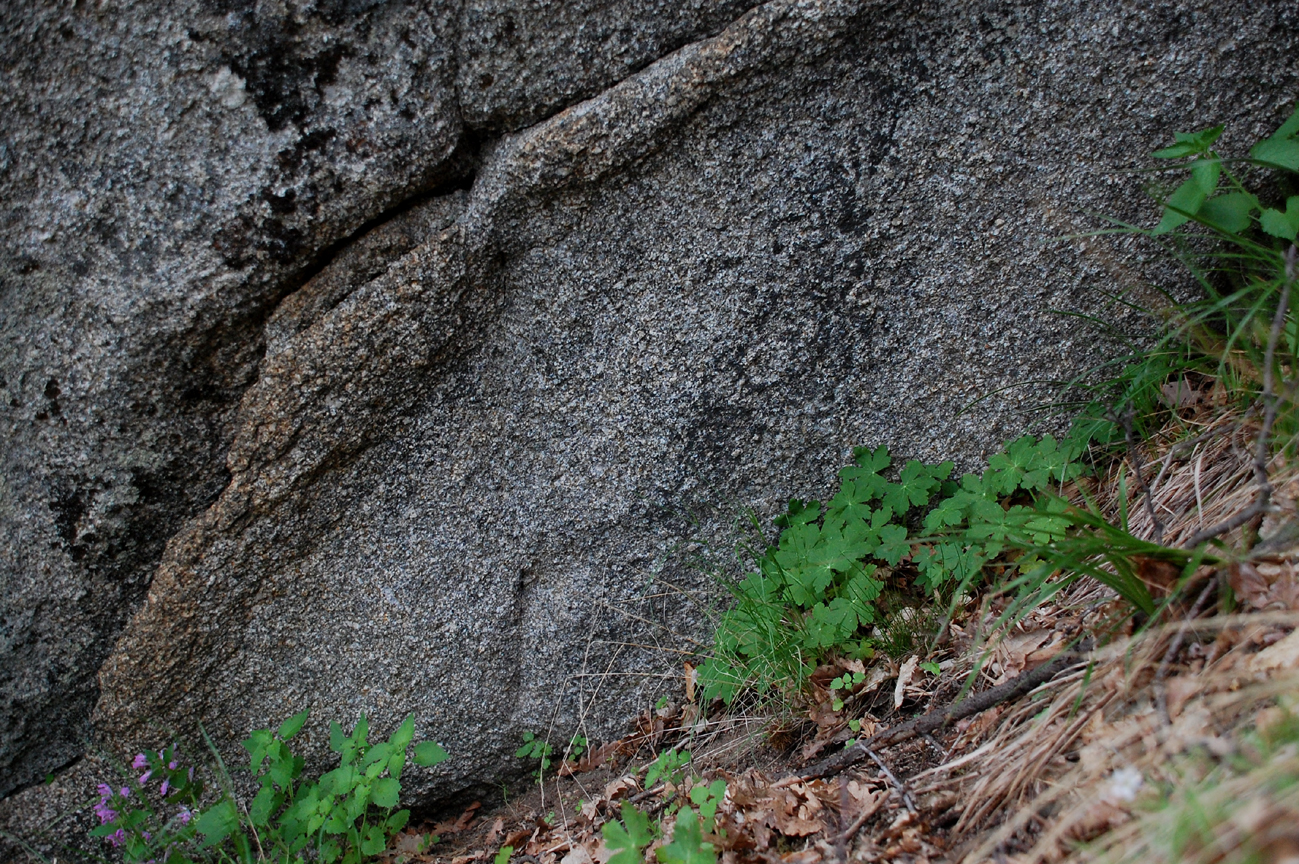 ���������,�� �� ������ �������� ���������