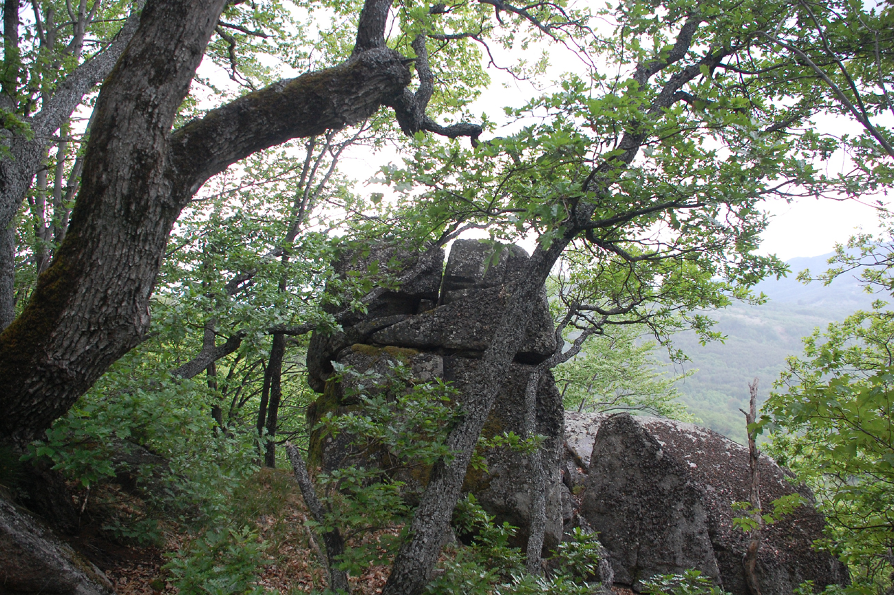 ���������,�� �� ������ �������� ���������