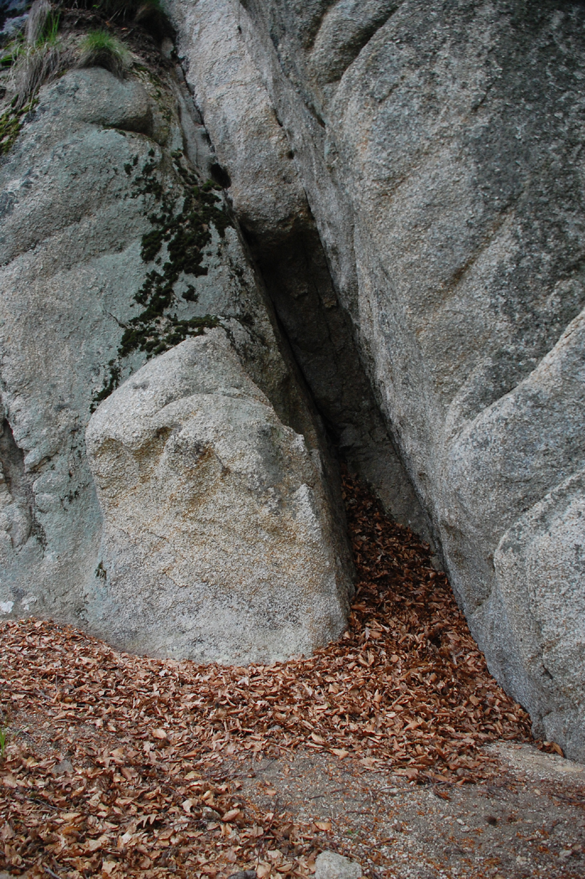 ���������,�� �� ������ �������� ���������