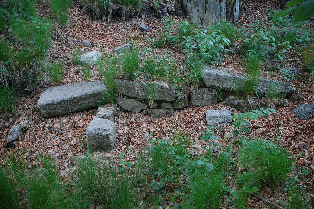 ���������,�� �� ������ �������� ���������