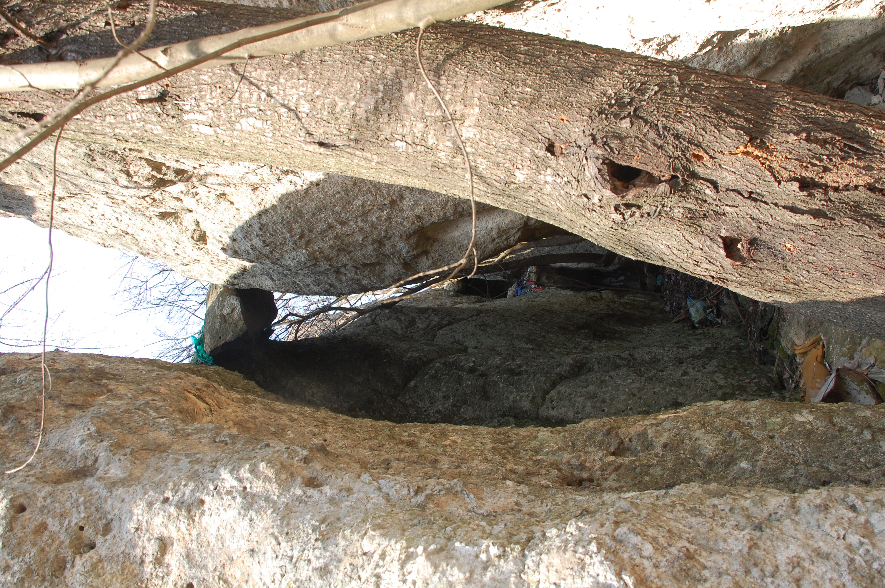 ���������,�� �� ������ �������� ���������