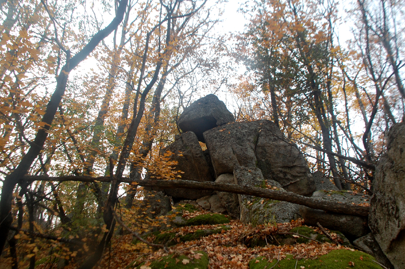 ���������,�� �� ������ �������� ���������